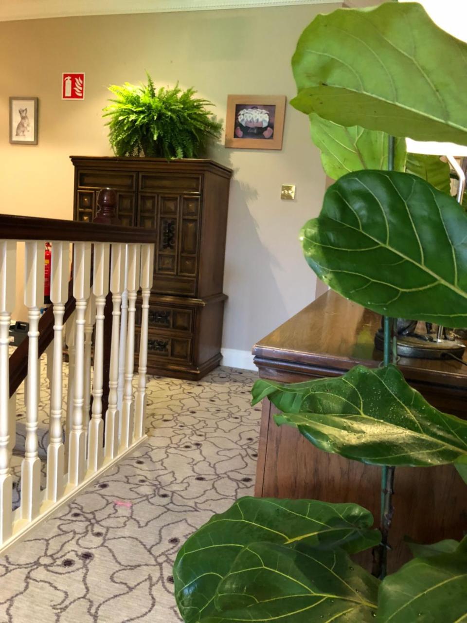 Bed and Breakfast Amber Berry Голуэй Экстерьер фото
